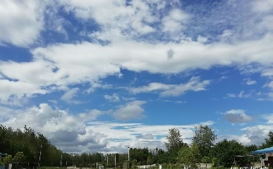 S{У