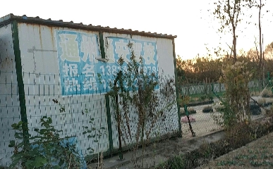 ͨͨͨ{У