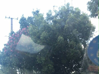 A{У