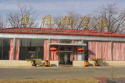金统领驾校