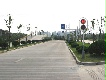 荣伟团队