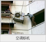 市喜庆蚂蚁搬家有限公司