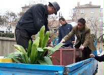 дʿǨ