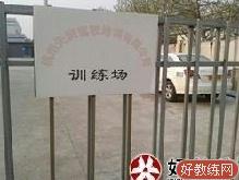 ѵ