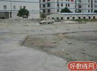 深圳九洲驾校