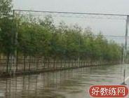 永成驾校