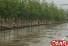 揭阳永定驾校