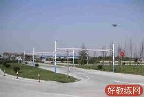 路平团队