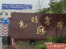 小王团队首页－上海小王团队欢迎您
