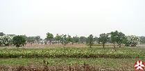 训练场