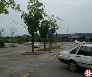 辰龙驾校教练车
