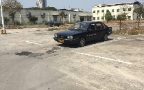 ѵ
