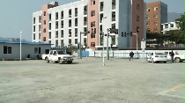 ѵ