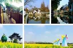 上海奉贤庄行学车训练场