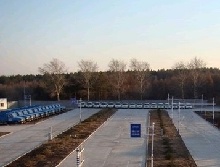 业龙驾校