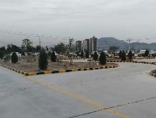 裕华金苹果驾校