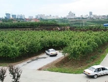 渭南秦通驾校