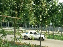 冀晨驾校