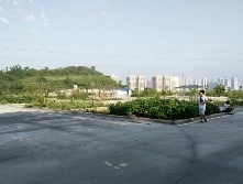 重长司驾校