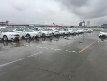 畅骐驾校