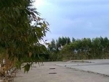 新发驾校