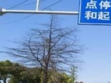 山·ѧѵ