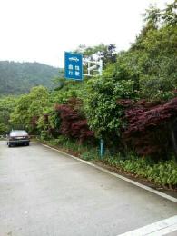 쳽У