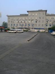 ڼУ