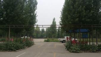 У
