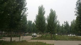 У