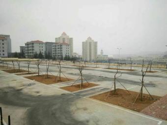 鲁东驾校