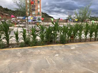 飞龙驾校