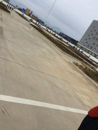 中安驾校