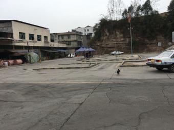 实验驾校