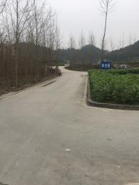 实验驾校