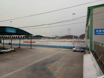 东桥驾校