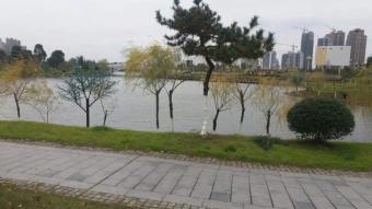 迎宾驾校