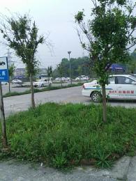 莹鸿驾校