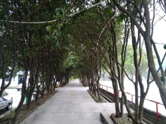 通泰驾校