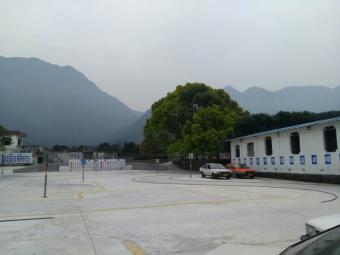 通泰驾校