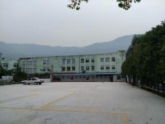 通泰驾校