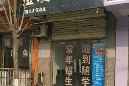 金凌驾校