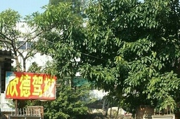 ¼У