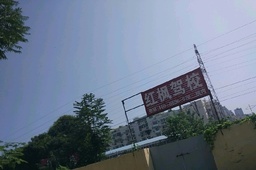 红枫驾校