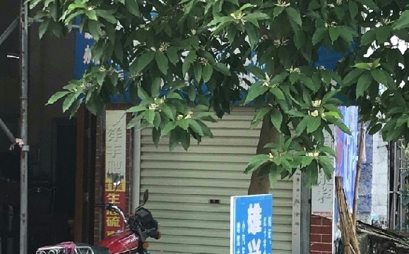 ˼У