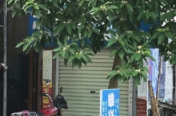 ˼У