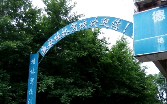 ѵ