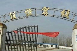 ѺУ