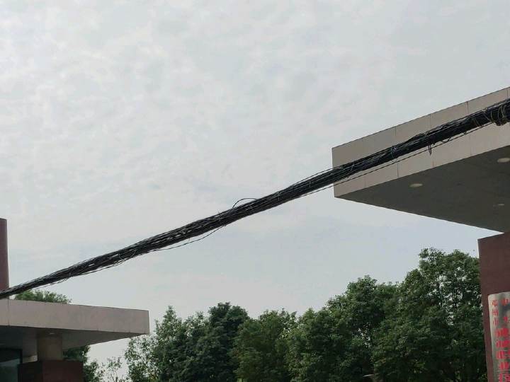۳ϼУ