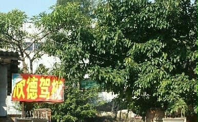 ¼У